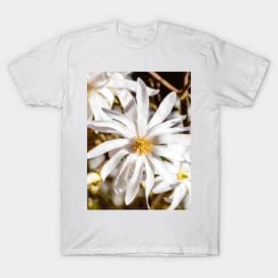 Tender spring magnolia flower - the magic of flowers T-Shirt